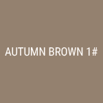 autumn-brown-1